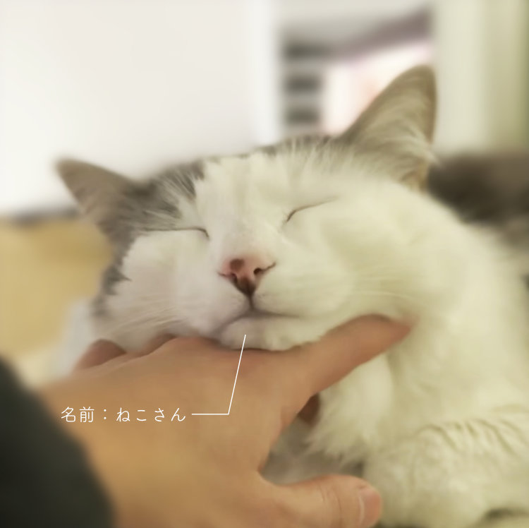 https://ichiro-design.com/wp-content/uploads/2025/04/WebCafe_5.jpg